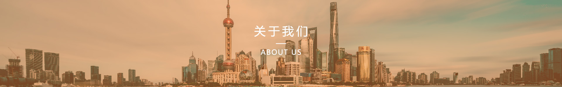 公司簡介